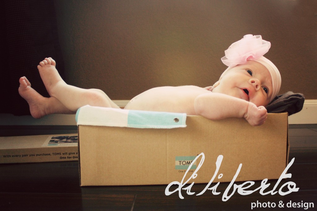 Diliberto Photo & Design Houston Newborn Photography