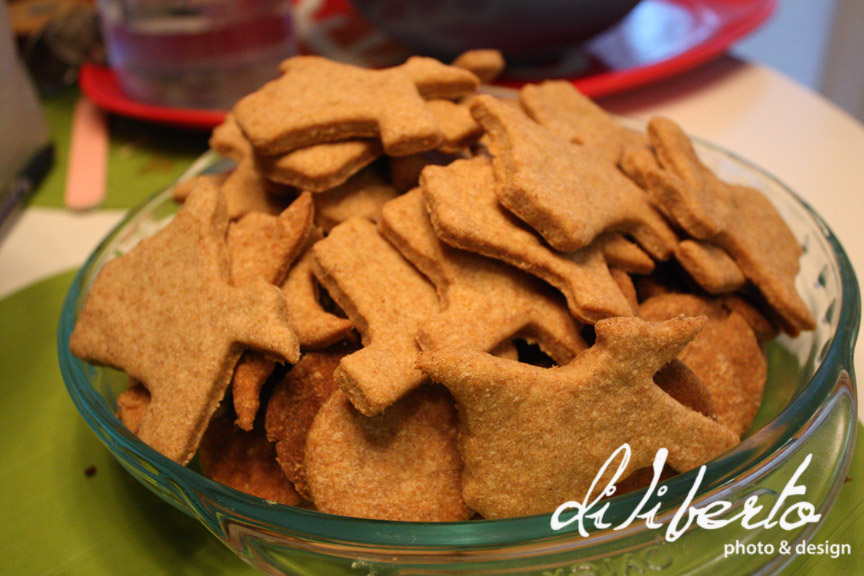 Texas Shaped Homemade Dog Cookies