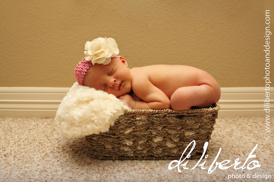 Newborn Photographer Spring, TX
